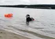 Tânărul dispărut în Dunăre, găsit mort la Hârșova