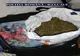 4 kilograme de cannabis descoperite într-o locuință din Năvodari. O persoană arestată