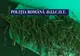 FOTO VIDEO Constănțean, arestat pentru că avea o plantație de canabis acasă