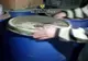 VIDEO: Instalație ilegală de producere a alcoolului şi 7.000 litri de alcool  descoperite de polițiștii de frontieră