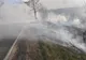 Incendiu violent de vegetație. Pericol de accidente între Jijila și Măcin
