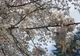 Vești proaste! Prognoza meteo pentru 4-5 aprilie: Vremea va fi deosebit de rece