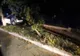 Tânăr carbonizat după ce mașina în care se afla a lovit un copac şi a luat foc