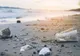 Alertă pe litoral! Zeci de tone de deșeuri aruncate de turiști pe plajă și în apa mării