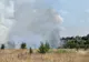 VIDEO Incendiu violent la Medgidia. 50 de hectare de vegetație uscată făcute scrum
