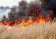 50 de hectare de vegetație uscată au ars în urma unui incendiu în Delta Dunării