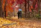 Vremea 24 septembrie. Temperaturi scăzute în toată România - Lapoviță și ninsoare, la munte