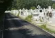 Arestat preventiv după ce a încercat să violeze o femeie în cimitir