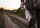 Bărbat de 49 de ani, împușcat în timpul unei partide de vânătoare