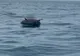 Alertă pe mare. Mină în travers de Capul Midia