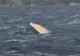 O barcă cu pescari s-a scufundat pe lacul Siutghiol
