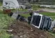 Un camion cu oi s-a răsturnat în Năvodari: peste 160 de animale au murit în urma impactului. Șoferul a scăpat nevătămat