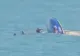 Un velier s-a răsturnat în mare, la Mangalia. Cinci persoane au fost în pericol | VIDEO
