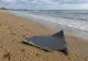 Alertă la Constanța! Fragment de dronă, găsit lângă Zoom Beach. Este al doilea într-o singură zi