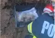 Șapte cățeluși și mama lor, salvați de sub un mal de pământ în Constanța - VIDEO