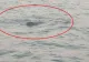 Alertă la Constanța. Un obiect suspect a fost identificat plutind pe mare