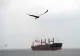 Marea Neagră devine tot mai periculoasă. Două nave comerciale au fost lovite de drone, iar marinarii cer să fie duși la mal