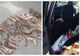 VIDEO| Prinși cu 30 kg de sturion, fără documente legale, în mașină