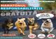 Maratonul Responsabilității. Sterilizare gratuită a animalelor de rasă comună