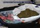 4 kilograme de cannabis descoperite într-o locuință din Năvodari. O persoană arestată