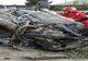 FOTO Mașini făcute praf într-un accident mortal la Corbu. Doi oameni au murit, alți doi au ajuns la spital