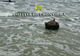 VIDEO Mină marină descoperită pe plajă, în zona localității Sfântul Gheorghe