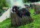 Vandalism pe faleza din Ovidiu. Patru tinere au făcut scrum un bungalou VIDEO